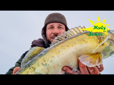 Видео: Рыбалка. Ловля Судака на Ратлины и ВИБы.