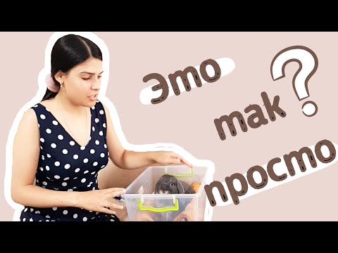 Видео: Как вычёсывать декоративного кролика? Линька декоративного кролика.