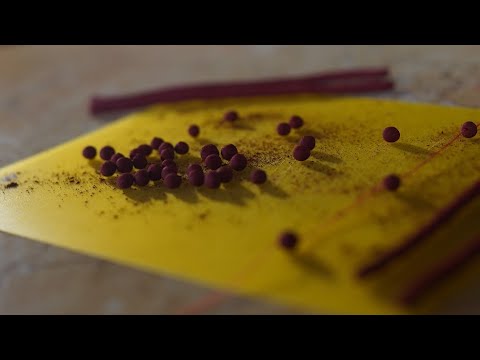 Видео: Микро   бойл v1.0 секретный рецепт