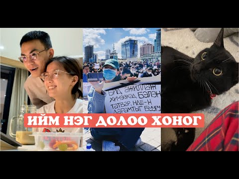 Видео: Ийм нэг 7 хоног🇲🇳: demonstration, fast food, cat bath, new songs