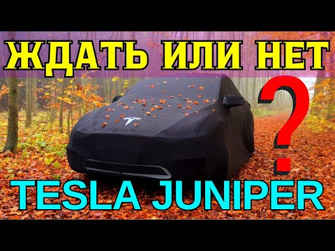 Видео: Tesla Juniper ждать? или купить Model Y - рассказываю 17.11.2024