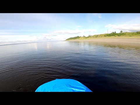 Видео: Рыбалка на реке Енисей. Ловля неводом.