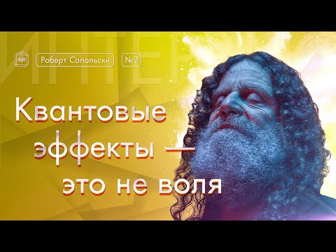 Видео: Роберт Сапольски. Квантовые эффекты — это не воля. [Vert Dider] 2/6