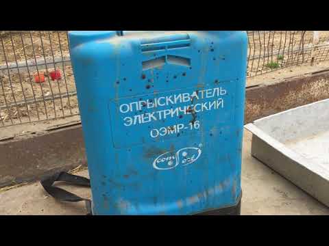 Видео: Совет от Гагика 99.Обработка голубятни.18.04.18г.