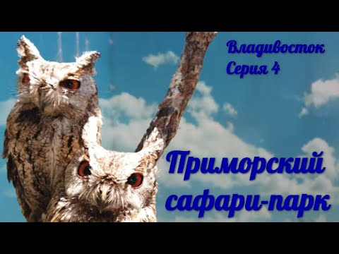 Видео: Приморский сафари-парк ► мыс Вилкова ► Владивосток ► Серия 4