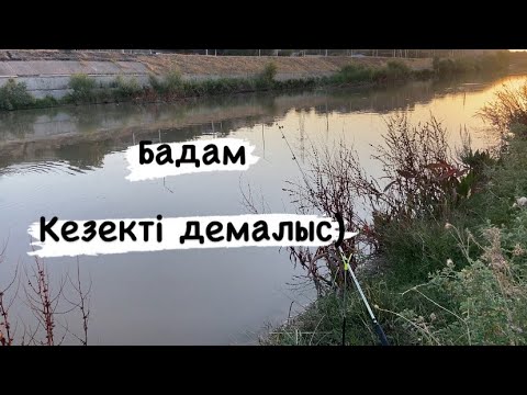 Видео: Бадам МАРИНКА , Карась)