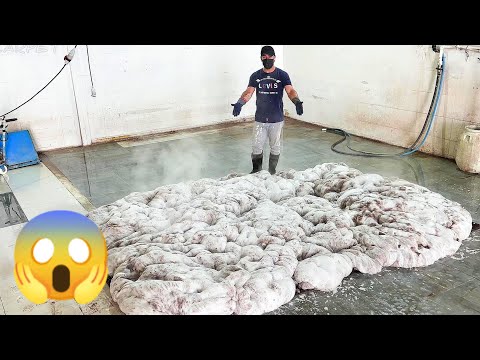 Видео: Новый метод Vl Ужасная чистка грязного сладкого ковра, удовлетворяющая ASMR