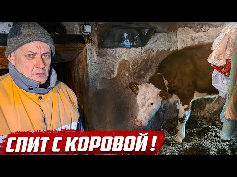 Видео: Осторожно! Может стошнить от увиденного! | Оренбургская обл, Асекеевский район, с.Заглядино