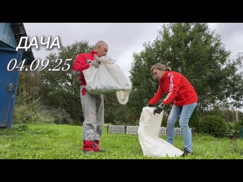 Видео: ДАЧА 04.09.2025 / ВЫКОПАЛИ КАРТОШКУ