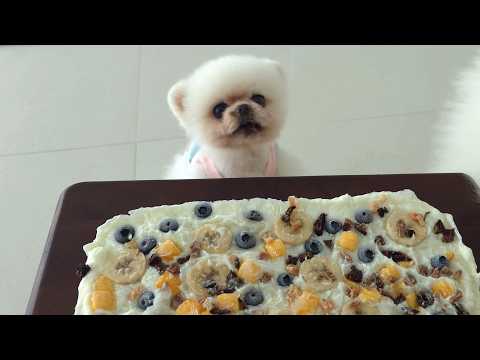 Видео: Я приготовила ледяное мороженое из йогурта для измученных жарой щенков.