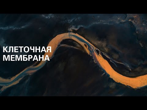 Видео: Мембраны