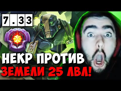 Видео: STRAY СТОИТ МИД ПРОТИВ ЗЕМЕЛИ 25 ЛВЛА ПАТЧ 7.33 ! СТРЕЙ 4500 carry mid dota 2 ! Лучшее со Стреем