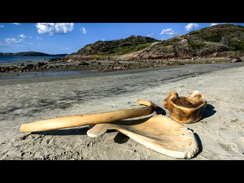 Видео: Кильдин-остров загадка. 9 Часть