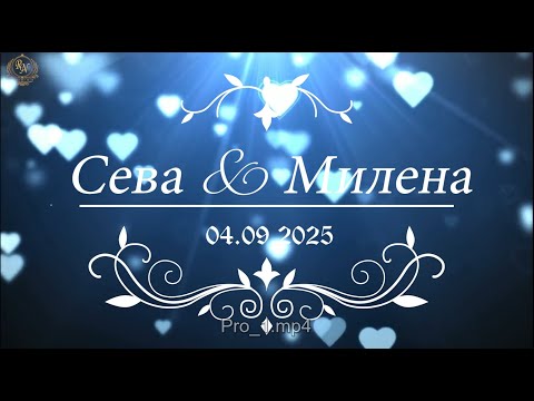 Видео: Цыганская свадьба 4 сентября 2025 год Сева и Милена г. Санкт-Петербург
