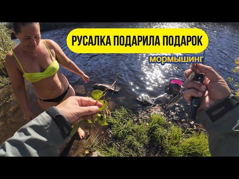 Видео: #мормышинг | CF Sub Zero и осенние окуни |