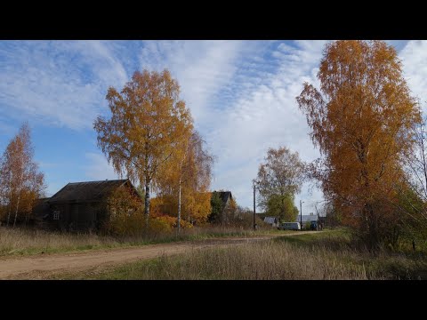 Видео: Тверская, Лихославль-Спирово, 09.10.21,  в поисках золотой осени