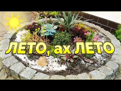 Видео: 🌻☀️ОФОРМЛЯЮ ДВОР К ЛЕТУ☀️🌻/126