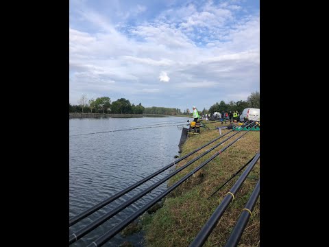 Видео: 70 Чемпионат Мира по поплавочной ловле рыбы. Отчет. (2 часть)