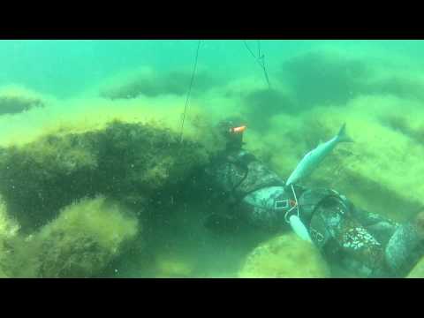 Видео: Подводная охота в Каспийском море, 02 июля 2013 г.