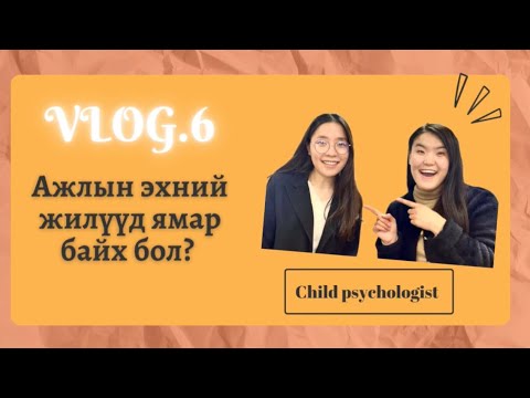 Видео: Ажлын эхний жилүүд ямар байх бол? | Veloo foundation | VLOG.6 |