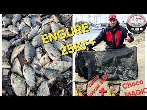 Видео: БЕШЕНЫЙ КЛЁВ  КАРАСЯ (Engure) GROUNDBAITS Special mix  Choco MAGIC + Vanille Special Black!