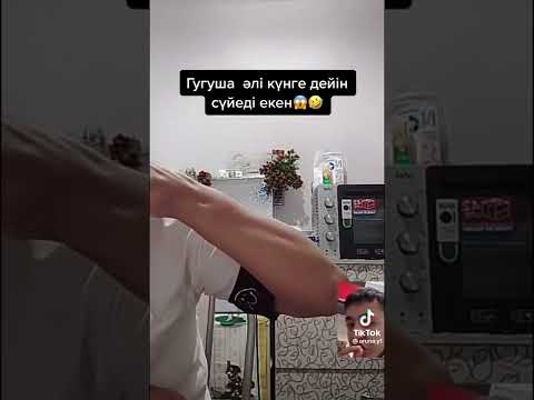 Видео: Гугуша Сампоны тағы кешірді😱