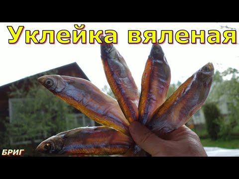 Видео: Уклейка вяленая
