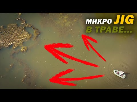 Видео: Как ловить ХИЩНИКА на МИКРОДЖИГ в ТРАВЕ / Рыбалка в НОВОСИБИРСКЕ.