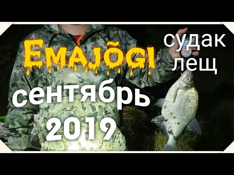 Видео: Рыбалка в Эстонии .  Emajõgi.  Лещ , судак в сентябре 2019.