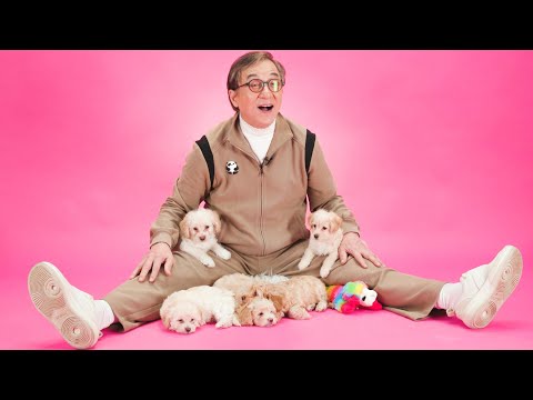 Видео: Джеки Чан: Интервью со щенком