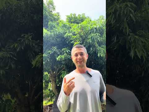 Видео: Теория 4