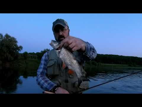 Видео: Голавль на Оке. Заработал любимый перекат. Сам попался на крючок.