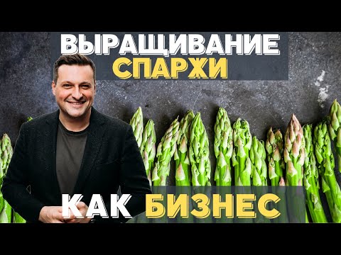 Видео: Как это сделано: выращивание спаржи / Сельское хозяйство-это бизнес? / Как начать?