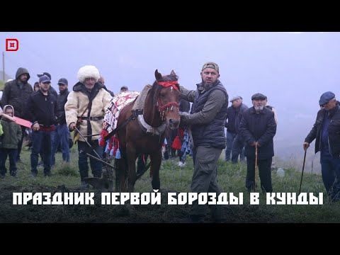 Видео: «Аьрщи ва агьлу». «Праздник первой борозды в селе Кунды»