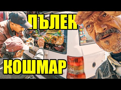 Видео: АФРИКАНЦИ МИ ПОПРАВЯТ КОЛАТА | Мароко