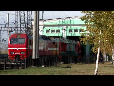 Видео: НОВОСИБИРСКАЯ ОБЛАСТЬ - Барабинский район