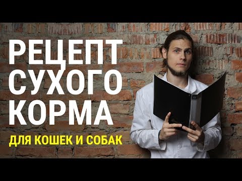 Видео: Из чего и как делается сухой корм для кошек и собак? Отвечает ветеринар Дмитрий Русаков.