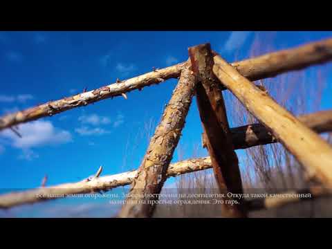 Видео: Ферма "Тологой" (Кижингинский район) Сокто Цыдыпова