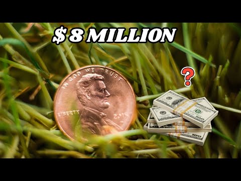 Видео: 10 самых ценных пенни | Шокирующие редкие монеты, спрятанные в вашей сдаче (цены на старинные мон...