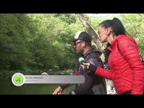 Видео: Състезание по спининг риболов на р.Въча