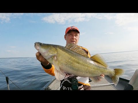 Видео: Будни гида . C женой на рыбалку . Рыбинское водохранилище . Ловлю судаков .