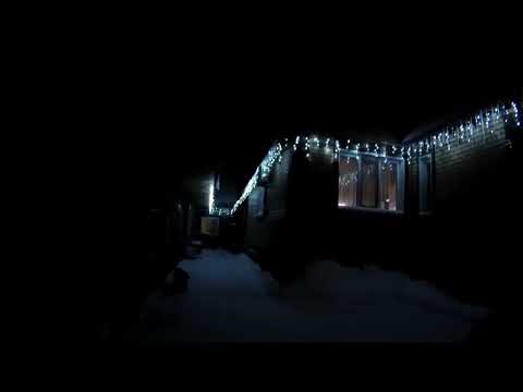 Видео: VLOG: Купили ёлку Арише в комнату/ Рецепт вкусного салата...