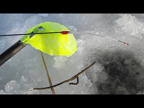 Видео: КИВОК ЗАГИБАЮТ...ЧУДО-МОРМЫШКУ ГЛОТАЮТ!!! Рыбалка по Первому льду