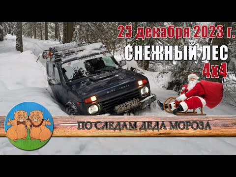 Видео: ПРЕДНОВОГОДНИЙ ПАРОВОЗ ТРОФИ. СНЕЖНЫЙ ЛЕС 4х4. По следам Деда Мороза. 23 декабря 2023 г.