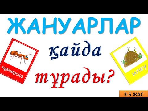 Видео: Жануарлар қайда тұрады? | Логикалық сұрақтар 3–5 жас балаларға | Дамытушы ойын Zerekbala TV