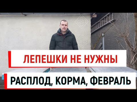 Видео: Лепёшки не нужны! Правила кормления ранней весной. Расплод, корма в феврале. #зимовкапчел