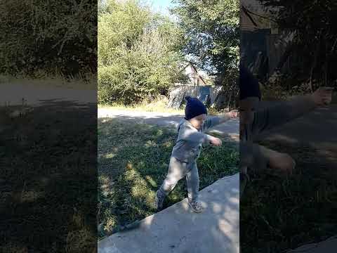 Видео: Коля и Кот ☝️👍 #тренды #топ #новости #Video #fyp