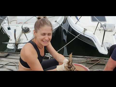 Видео: Секреты чистки кальмара/Готовим  кальмар на углях