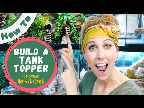 Видео: Как сделать аквариум с раком-отшельником | Crab Central Station