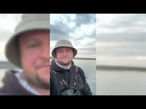 Видео: ЩУЧИЙ БЕЗЛИМИТ на Westin Swim 10cm! Поймал и Отпустил